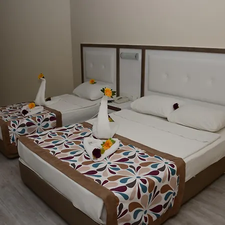 Acar 4*